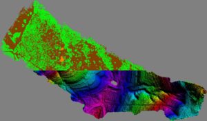 Hill_Country_LiDAR_Trees