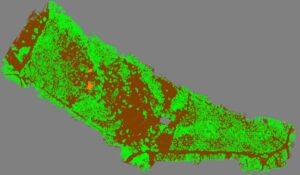 Hill_Country_LiDAR